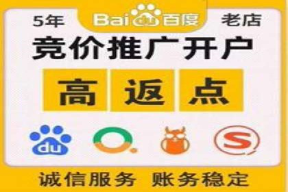 推广竞价策略解析：成功案例分享
